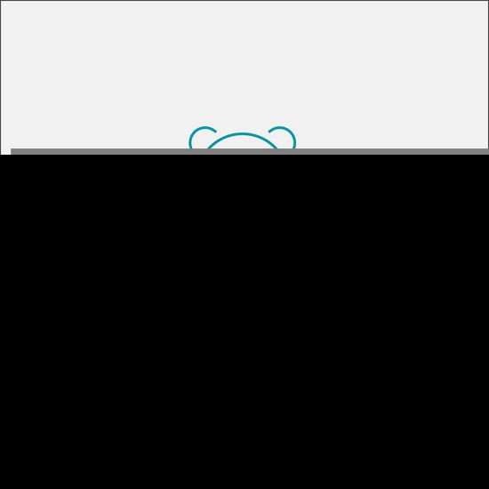 JAN THE MAN Long Player CD