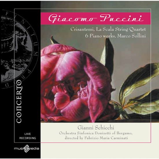 Azzarro, Sebastiano / Barbacini, Paolo / Battiato, Alessandro / Boldrini, Giancarlo / Carminati, Fabrizio Maria / Fondazione Orchestra Gaetano Donizetti di Bergamo / Gemmabella, Anna Rita / Guerini, Giovanni / Josipovic, Milena / Matteo, Enzo Di/Pellegrin - Gianni Schicchi / Crisantemi / Klavierwerke 1CD