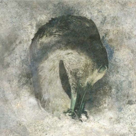 Suma - Ashes (20th Anniversary Edition) 1CD