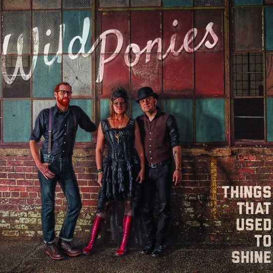 Wild Ponies - Things That Used to Shine 1CD