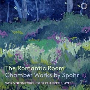 Wdr Sinfonieorchester Chamber Players - The Romantic Room: Chamber Works By Spohr 6CD