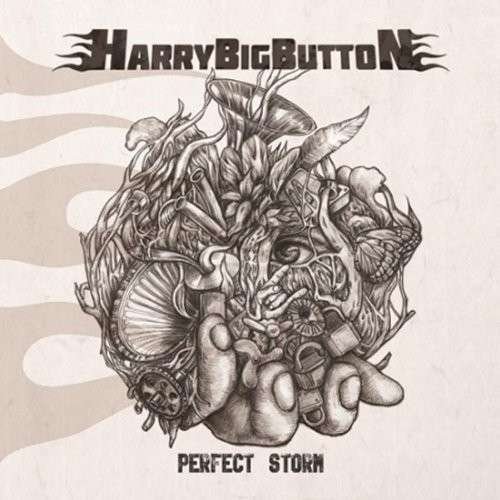Harrybigbutton - Perfect Storm 1CD