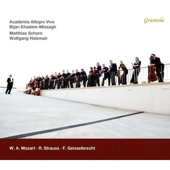 Mozart / Strauss - Orchl Works 1CD