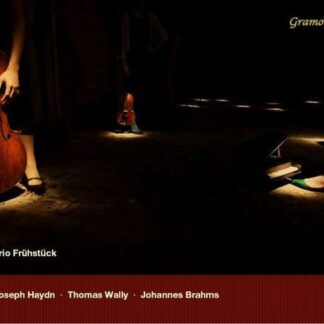 Haydn / Wally / Brahms - Mosaique 1CD