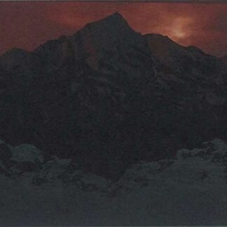Coerce - Ethereal Surrogate Saviour 1CD