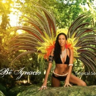 BE IGNACIO DELETED - TROPICAL SOUL CD