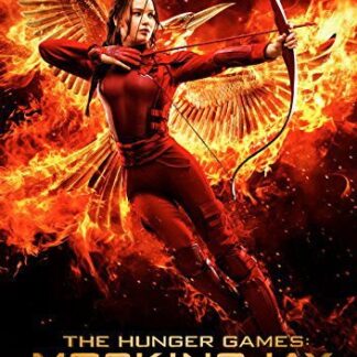 Hunger Games: Mockingjay Pt 2 - Hunger Games: Mockingjay Pt 2 DVD