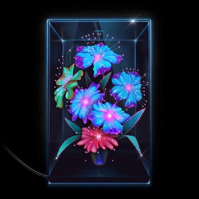 Xenia Rubinos - Una Rosa 1CD