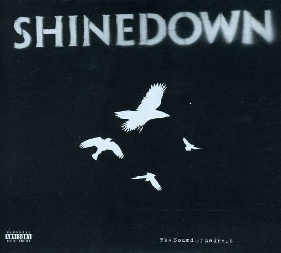 Shinedown - The Sound of Madness DVD