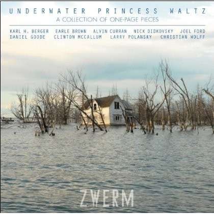 Zwerm Guitar Quartet - Underwater Princess Waltz 1CD