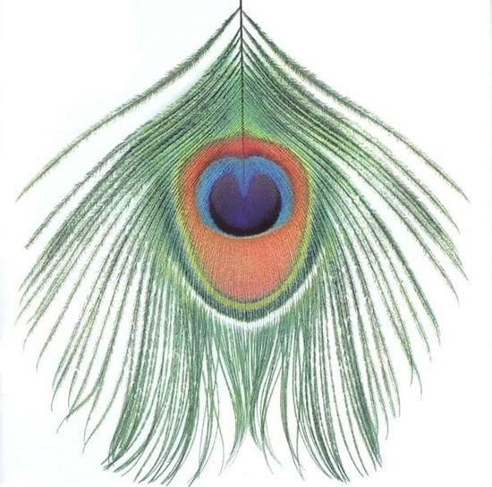 Xtc - Apple Venus Vol. 1 1CD