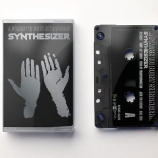 A Place To Bury Strangers - Synthesizer