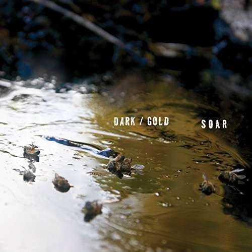 SOAR Dark/Gold Cassette