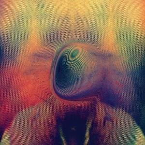 Young Magic - Melt 1CD