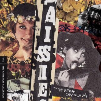 Criterion Collection - Daisies BD Blu-ray