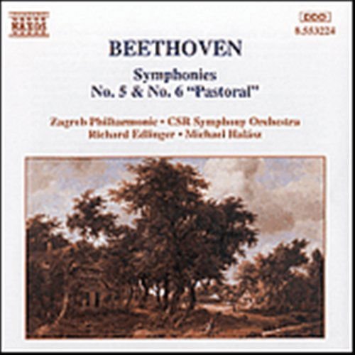 David Zinman - Symphonies No.5 & 6 1CD