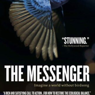 Messenger - Messenger. The (USA Import) DVD