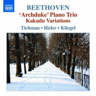 Beethoven / Xyrion Trio - Piano Trios 5 1CD