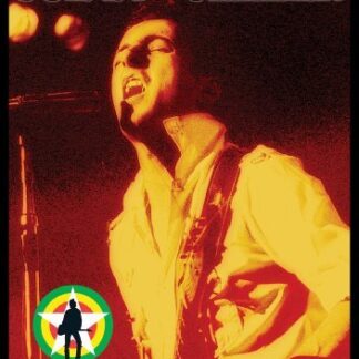 JOE STRUMMER Tribute Concert Cast A Long Shadow DVD