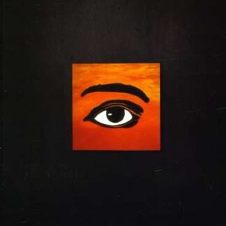 Feature Film - Visions Of Abolition: From Critical Resistance To A New Way Of Life DVD
