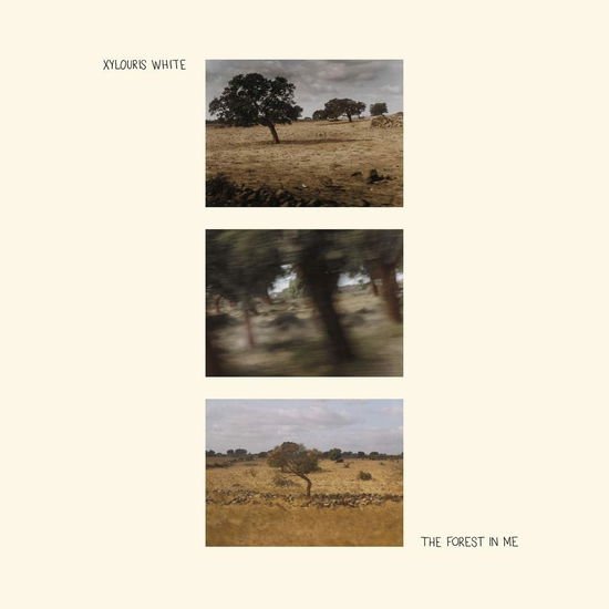 Xylouris White - Forest In Me 1CD
