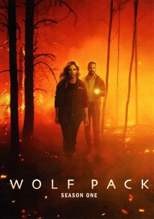 WOLF PACK SEASON ONE WOLF PACK SEASON ONE DVD