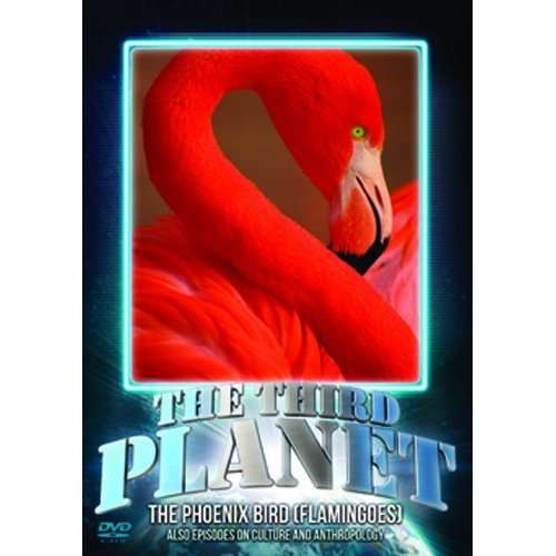 Third Planet: the Phoenix Bird - Third Planet The Phoenix Bird Flamingoes DVD