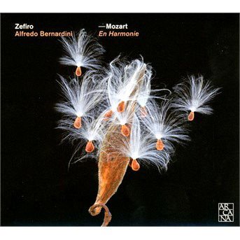 Mozart - En Harmonie 1CD