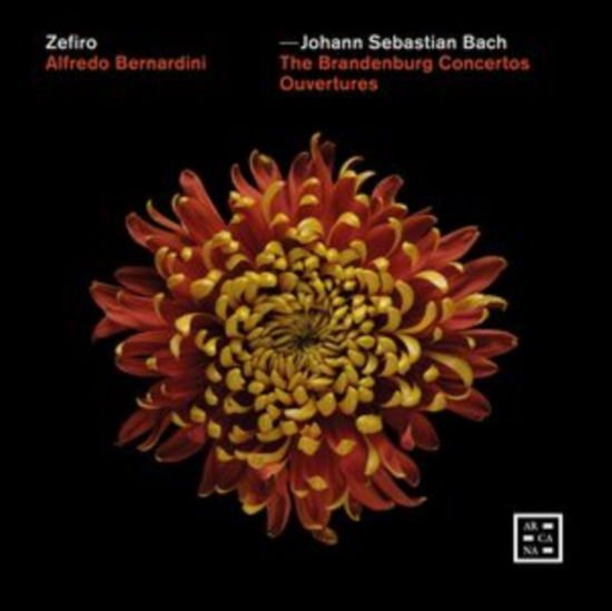 Zefiro / Alfredo Bernardini - Bach: The Brandenburg Concertos - Ouvertures 3CD