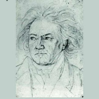 Beethoven / Hohenrieder - Beethoven Piano Concertos DVD