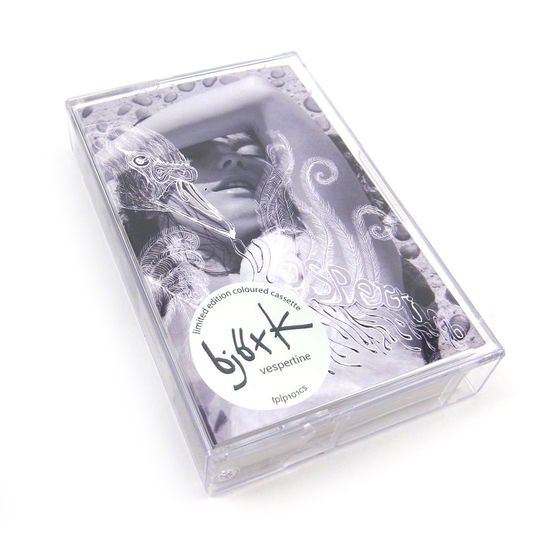 Bjork - Vespertine