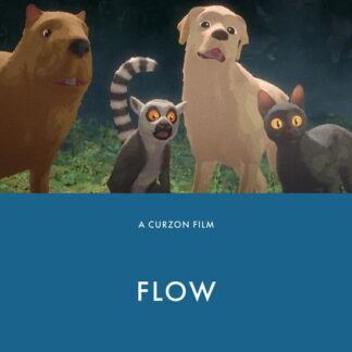 Flow - Flow Blu-ray