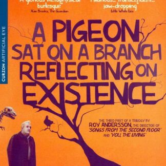 A Pigeon Sat on a Branch Reflecting - A Pigeon Sat On A Branch Reflecting Upon Existence DVD