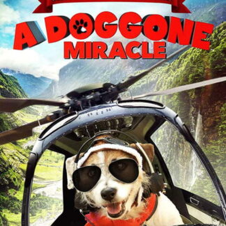 A Doggone Miracle - A Doggone Miracle DVD