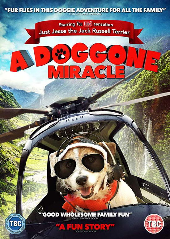 A Doggone Miracle - A Doggone Miracle DVD