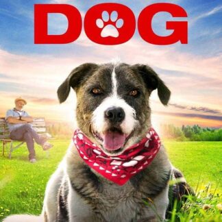 Life with Dog - Life With Dog DVD