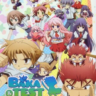 Baka & Test: Summon the Beasts - Baka And Test: Summon The Beasts Series 2 Collection DVD
