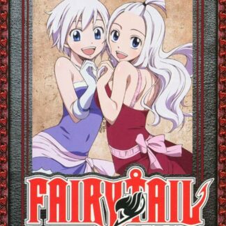 Fairy Tail - Collection 9 - Fairy Tail - Part 9 (Episode 97-108) DVD