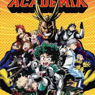 My Hero Academia: Season 1 DVD
