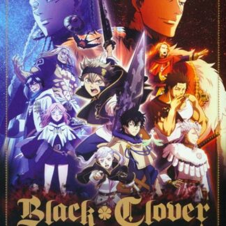 Black Clover - Black Clover - The Complete Season 1 DVD DVD