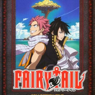 Fairy Tail - Collection 5 (Epi - Fairy Tail Collection 5 (Episodes 97-120) DVD