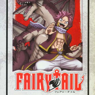 Fairy Tail - Collection 11 (EP - Fairy Tail Collection 11 (Episodes 240-265) DVD