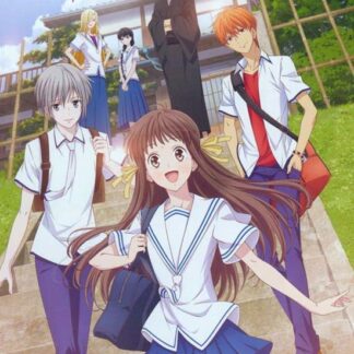 Fruits Basket - Season 1 - Fruits Basket: Season 1 DVD