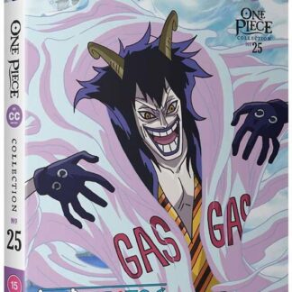 One Piece - One Piece Collection 25 - Episodes 588-614 DVD