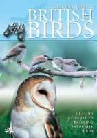 Ultimate Guide To British Birds DVD