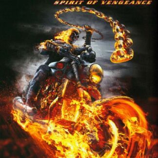 Ghost Rider Spirit Of Vengeance DVD