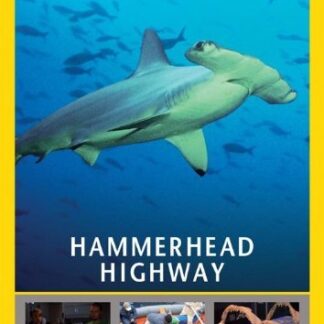 National Geographic Hammerhead Highway - National Geographic - Hammerhead Highway DVD