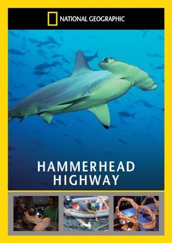 National Geographic Hammerhead Highway - National Geographic - Hammerhead Highway DVD
