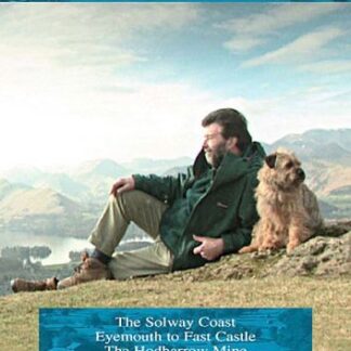 Out of Town: One Dog and His M - Out Of Town One Dog His Man DVD