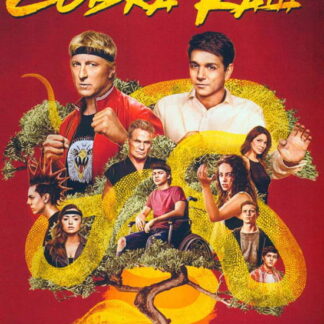 Cobra Kai Seasons 03 - Cobra Kai - Seasons 03 DVD